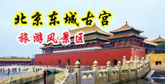 色欲ab操逼视频中国北京-东城古宫旅游风景区